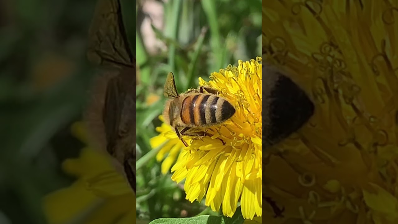 12 месяцев года