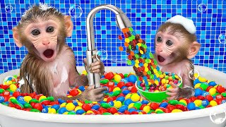 Cute Monkey Bon Bon harvests grapes and eats rainbow candy with his duck friend.