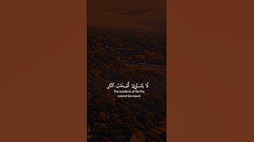 سورة الحشر ايه 19 - القارئ ياسر الدوسري