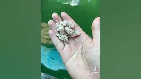 ốc táo nha mọi người xem video xin 1 lược đăng ký kênh ủng hộ mình với ạ