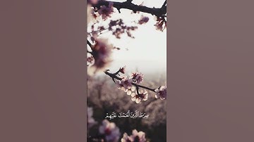 سورة الفاتحة | راحة نفسية | القرآن الكريم 🤍