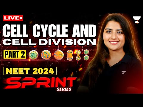 Cell Cycle and Cell Division - Part 2 | NEET 2024 Sprint Series | Seep Pahuja
