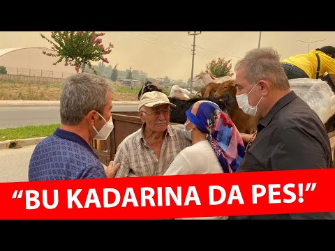 Video: Görünümlü Cam Aracılığıyla