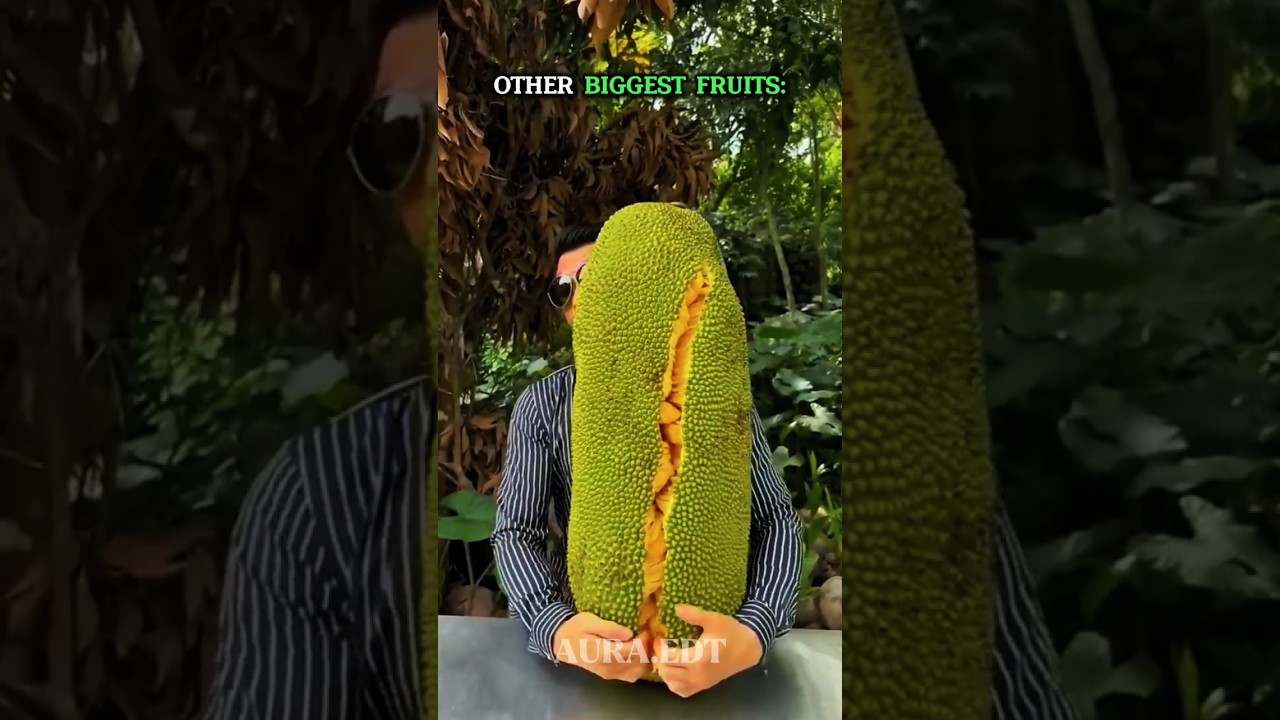 The Last Big Fruit Was Built Different ☠️ #edit #fruit #trollface #shocking #usa