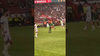 Ronaldo lifted by Pitch Invader