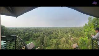 Tra Su Cajuput Forest