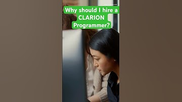 Why Should I Hire A CLARION Programmer?
