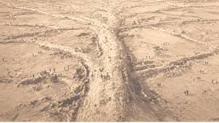 Beneath the Sahara Sand Are Roots That Branch for Forty Miles — No Living Tree Reaches That Far