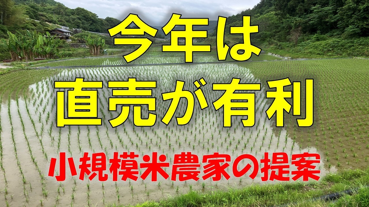 新米をどう売るか