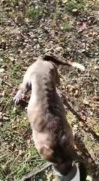 youtube.com