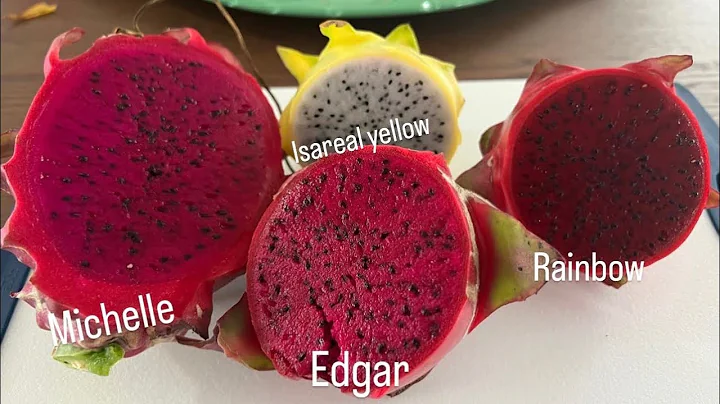 Dragon Fruit Testing- Michelle, Edgar, Isis and Ra...