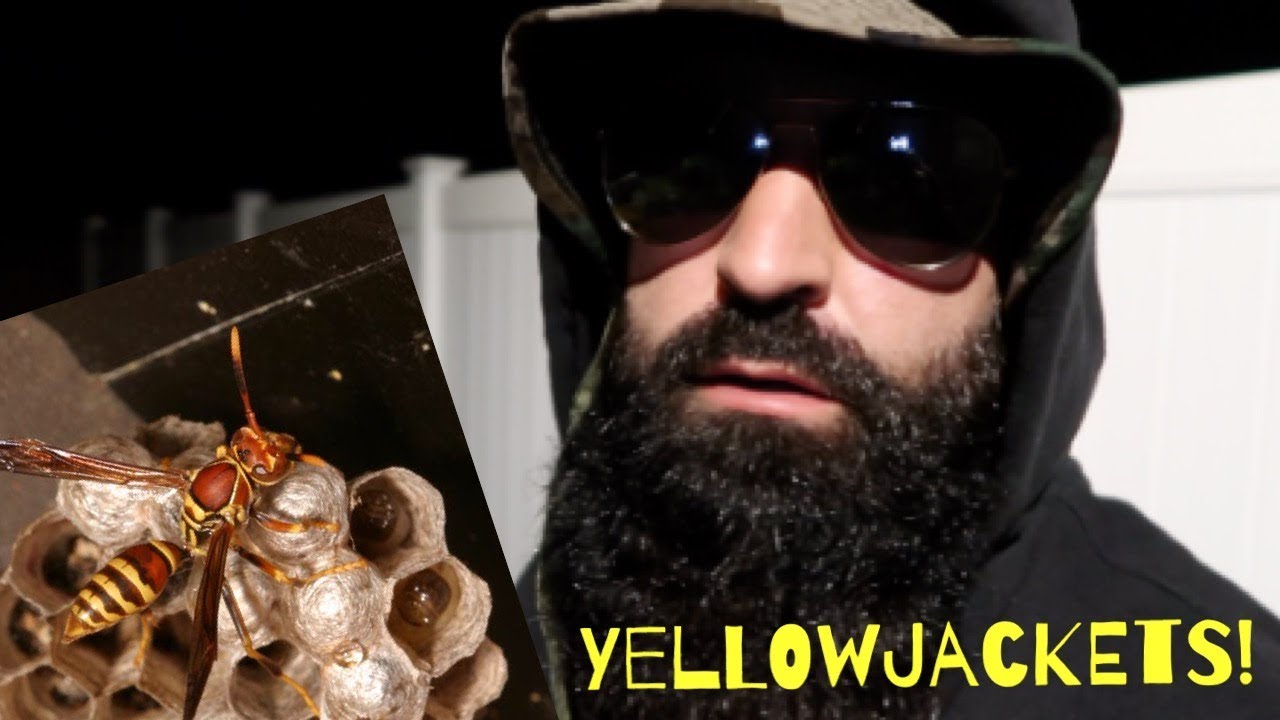 Yellowjackets Saison 2 : Date De Sortie yellowjackets yellowjackets Attack of the YELLOWJACKETS! Underground