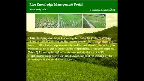 System of Rice Intensification course.wmv