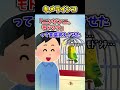 【2ch面白スレ】キメラインコ #shorts