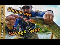 Дождь, грибы, пруд в лесу и ловля щуки на силикон Savage Gear.