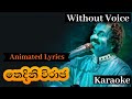 Thedini Viraja karaoke (without voice) තෙදිනි විරාජ