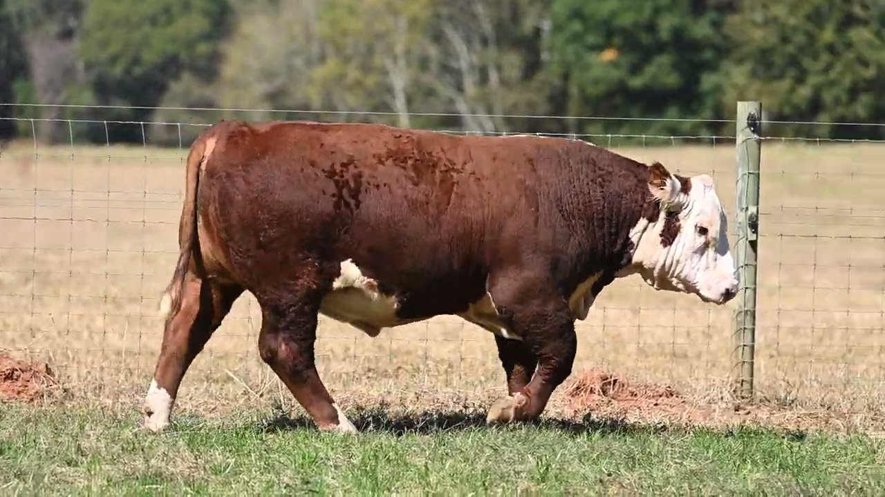 Innisfail Farm Tag 12J YouTube