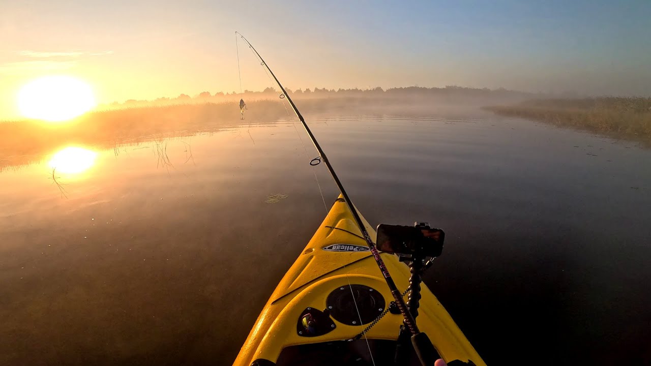 A Foggy Morning Top Water Smash! - Kayak Fishing