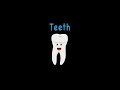 Understanding Teeth and Their Role in Digestion