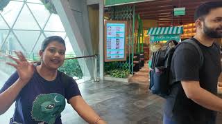 ✨ Singapore Changi Airport &amp; Jewel Experience 🇸🇬 | IIM Indore International Immersion Vlog ✈️