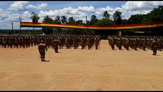 Arengas De Las 3 Companias Por Ultima Vez Cat-2020 R.i-10 Warnes