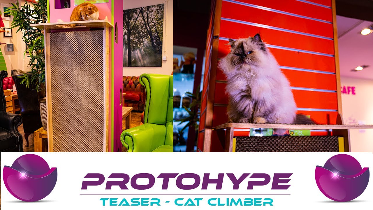 Teaser for Cat Climber Kickstarter Crowdfunding YouTube