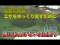 井上聡 魚影に興奮!エサをゆっくり流すために Satoshi Inoue Mountain stream fishing that no one can hear