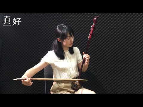 二胡陳依芳-城裡的月光