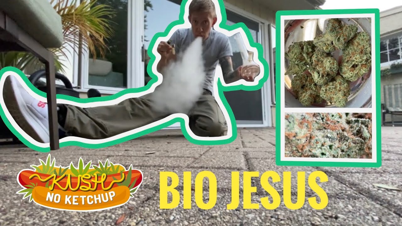 Bio Jesus Strain Review KUSH NO KETCHUP