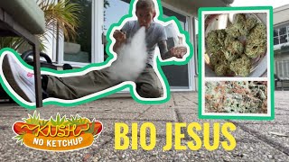 Bio Jesus Strain-Test: KUSH OHNE KETCHUP