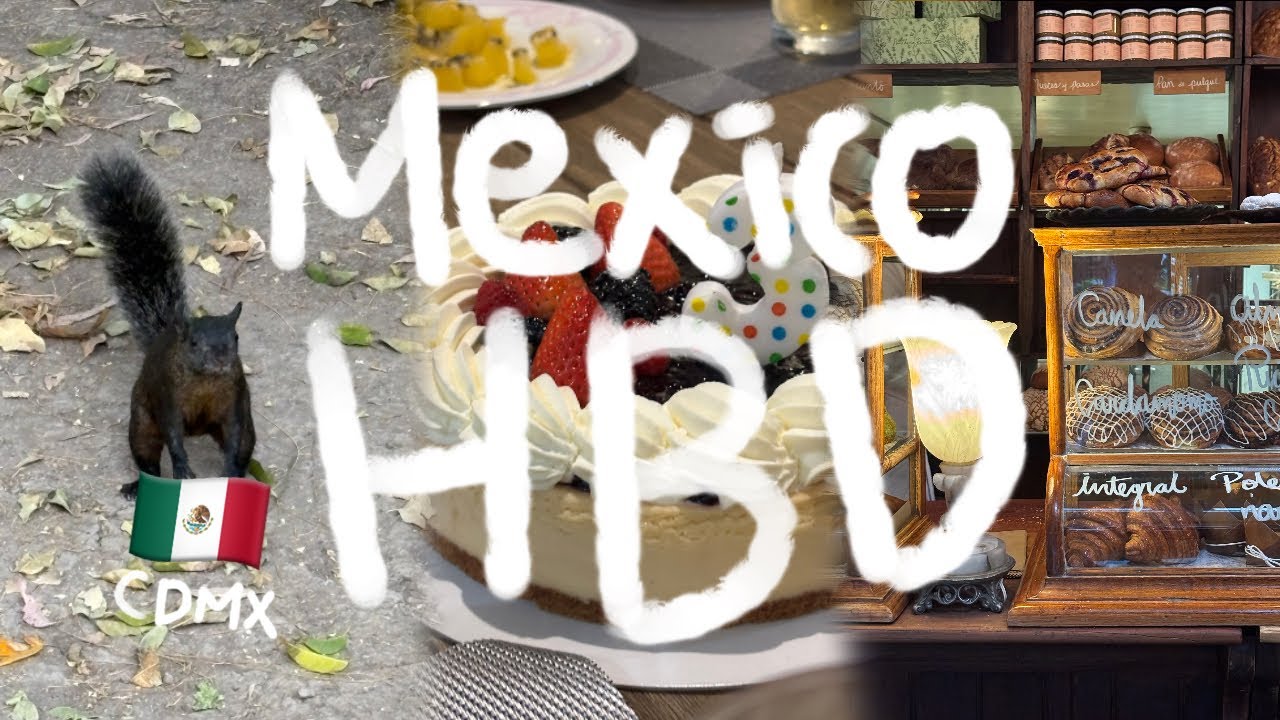 🇲🇽 Mexico City V-LOG | 드디어 한국에서 이삿짐 도착, 내 생일도 도착🎈