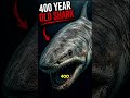 SHARKS KI MYSTERY🦈😱😱 #shorts #sharks #shortfeed #ocean #viral #shortsfeed #story #factsinhindi