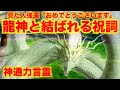 【開運】見た人※強運「おめでとうございます」龍神と結ばれる祝詞は,見た人に強運をもたらします。秘境の龍神様は圧倒的な神通力の龍神様でした。龍ヶ窪 龍神祝詞