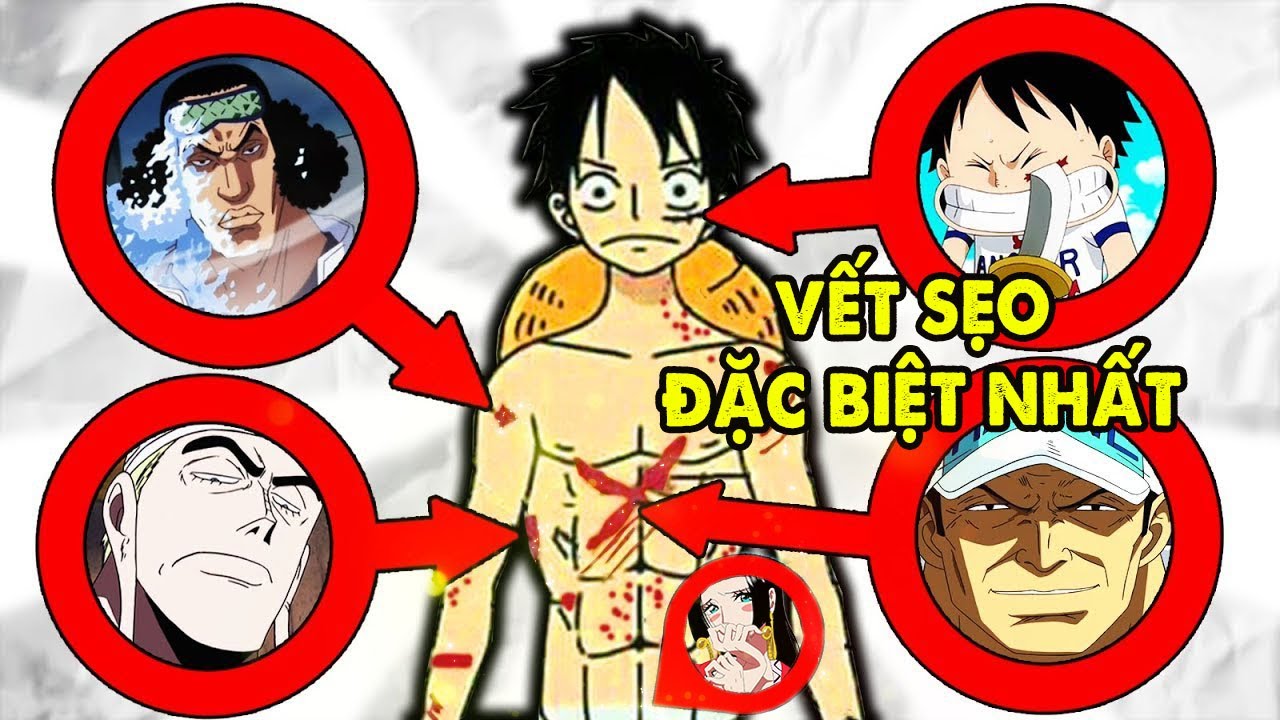 Vết Sẹo Đặc Biệt Nhất Của Luffy | Ý Nghĩa Những Vết Sẹo Trong One ...