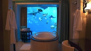 Tanked | Fridays at 10/9c on Animal Planet Two rooms at Atlantis, The Palm in Dubai have views looking into a 3 million gallon 