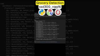 Train Your Own Grocery Object Detector | SSD PyTorch Tutorial #computervision #coding #deeplearning