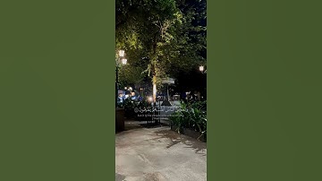 القرآن الكريم بصوت الشيخ عبدالرحمن مسعد☘️🤍أفأنت تهدي العمي ولو كانوا لا يبصرون Al Quran Al Kareem