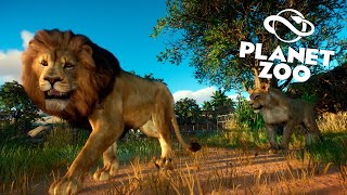 Nos ponemos al día  | Planet Zoo