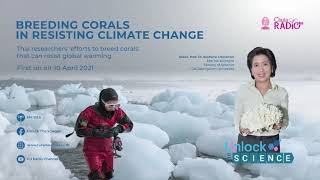 Unlock The Science Ep.6 Breeding corals in resisting climate change