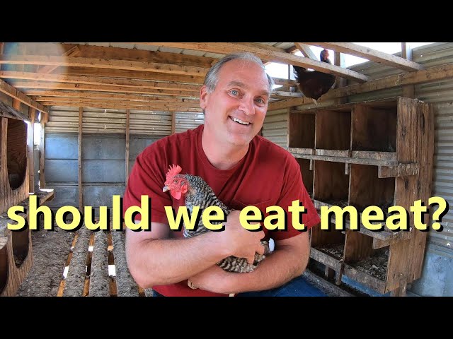 Trauma - Meat