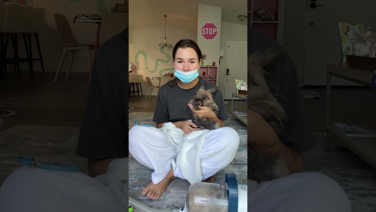 Признавайтесь у кого тоже кролики🥰 #short #shorts #evameller