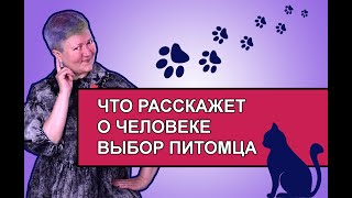 Что расскажет о человеке выбор питомца