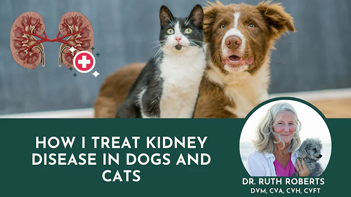 Dr. Ruth Roberts: How I Treat Kidney Disease in Do...