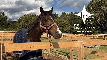 感動と熱狂をくれた馬たちに当たり前の未来を！#馬のみらいアクション2025【TCC Japan】