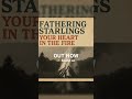 Your Heart in the Fire — OUT NOW | Fathering Starlings #shorts #newmusic #indiefolk #folkpop