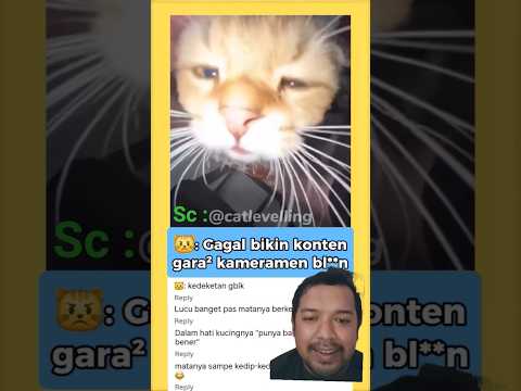 That Wink Is Everything Shorts 