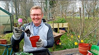 How To Sow Any SPRING PLANT OUTDOORS