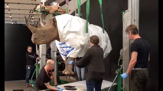 Tough Skin, Fragile Future | California Academy of Sciences
