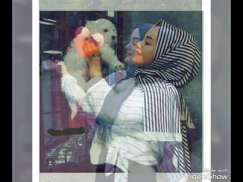 ضيم يل تنشد عليه تصميمي