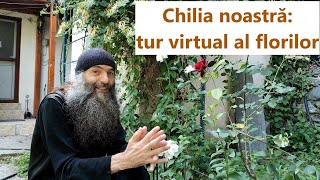Chilia noastră: tur virtual al florilor - p. Pimen Vlad